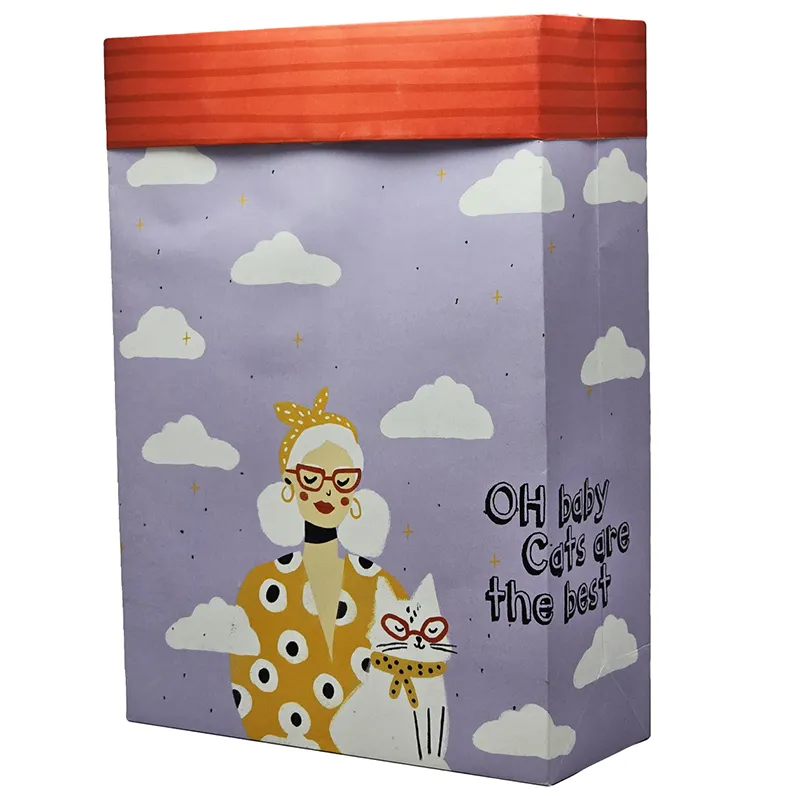 ساک دستی(بگ)طرح بچه گربه