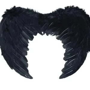 بال فرشته سیاه